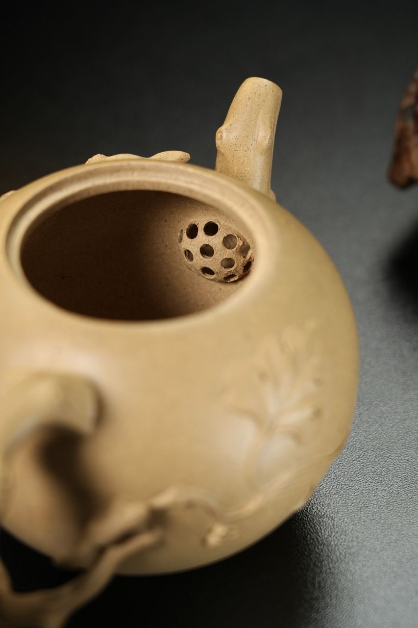 松鼠葡萄 實物圖 7